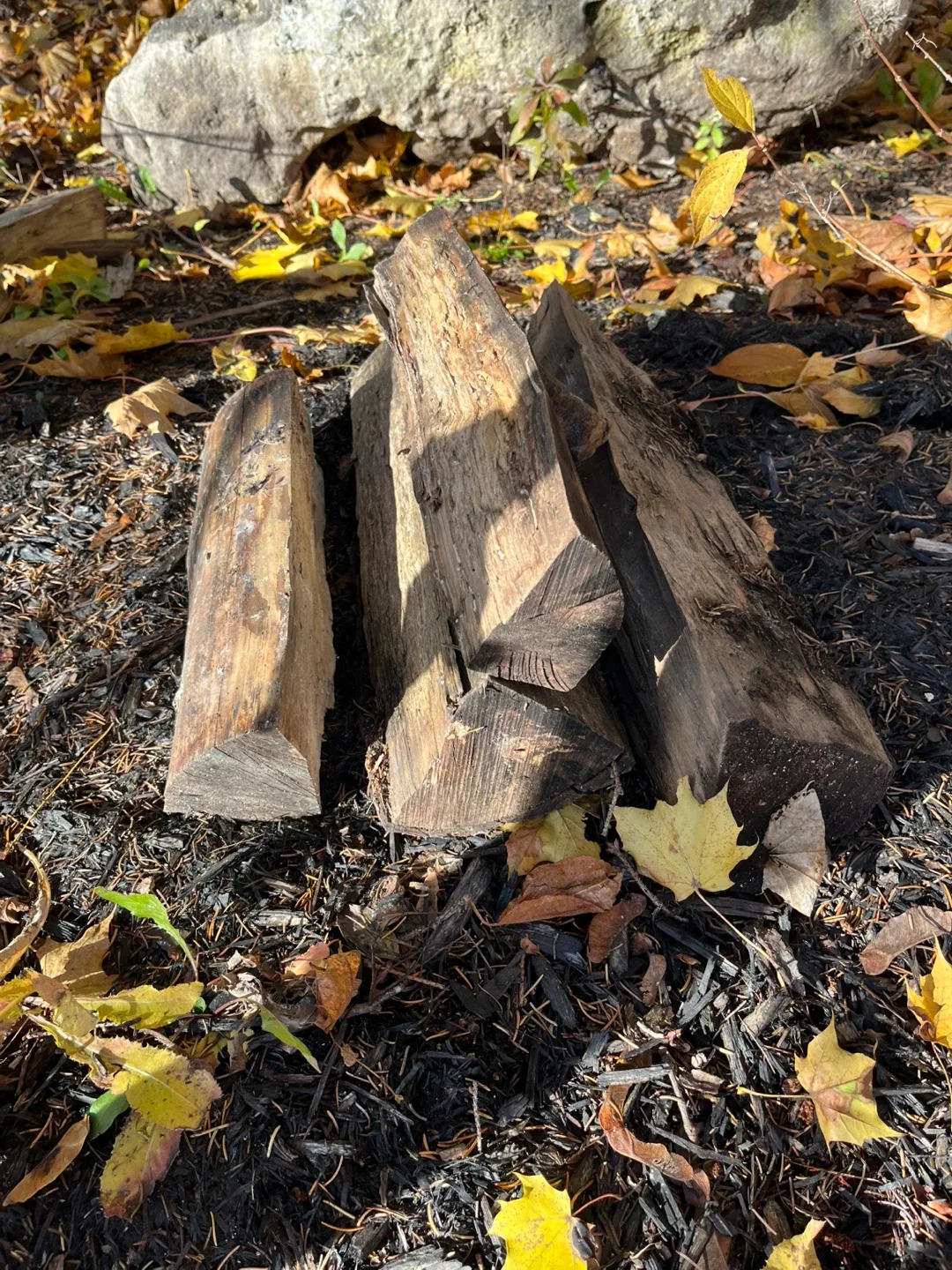 Firewood Logs 5 pieces And more