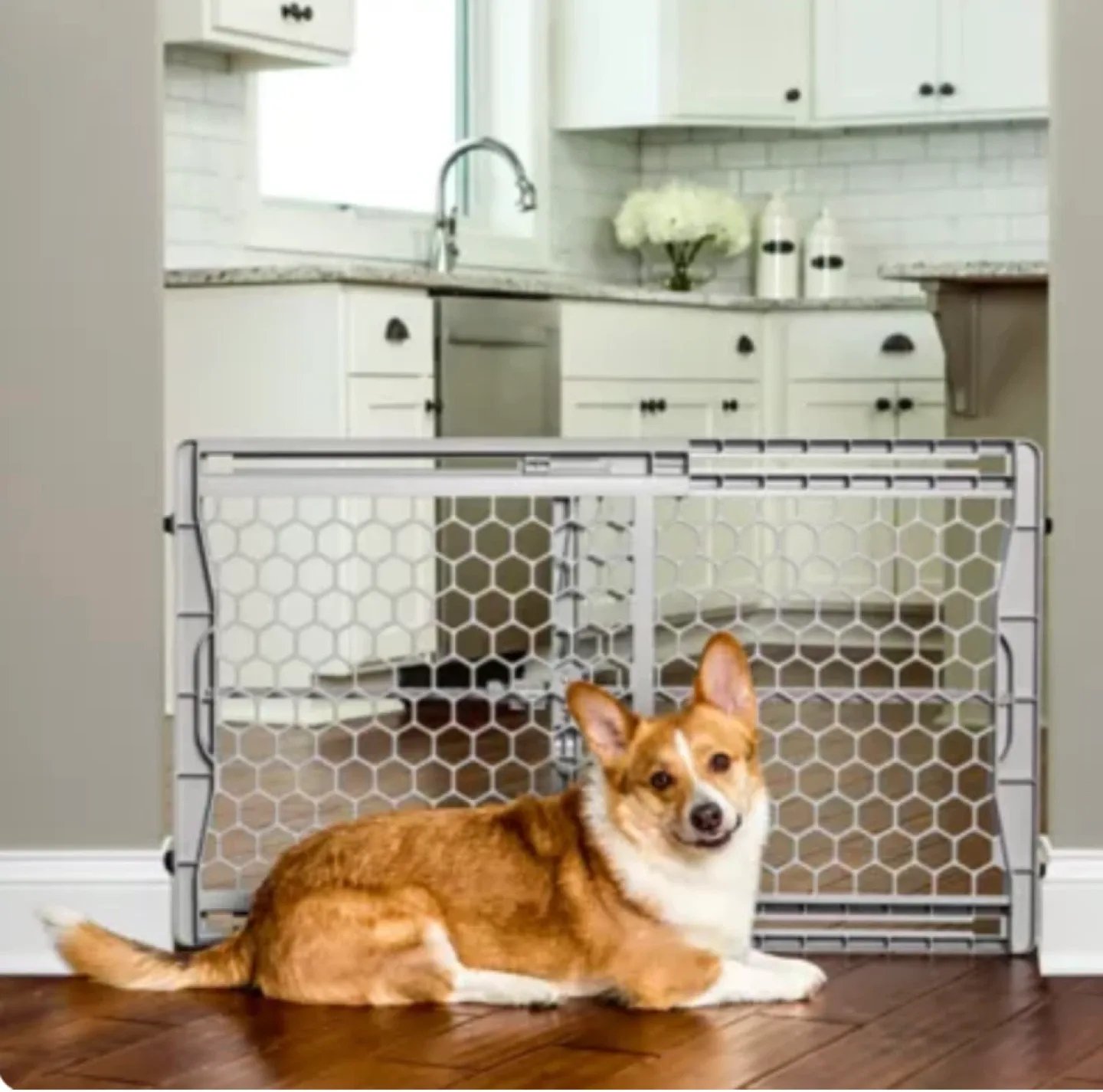 Evenflo Soft & Wide Gate image indicator(3)