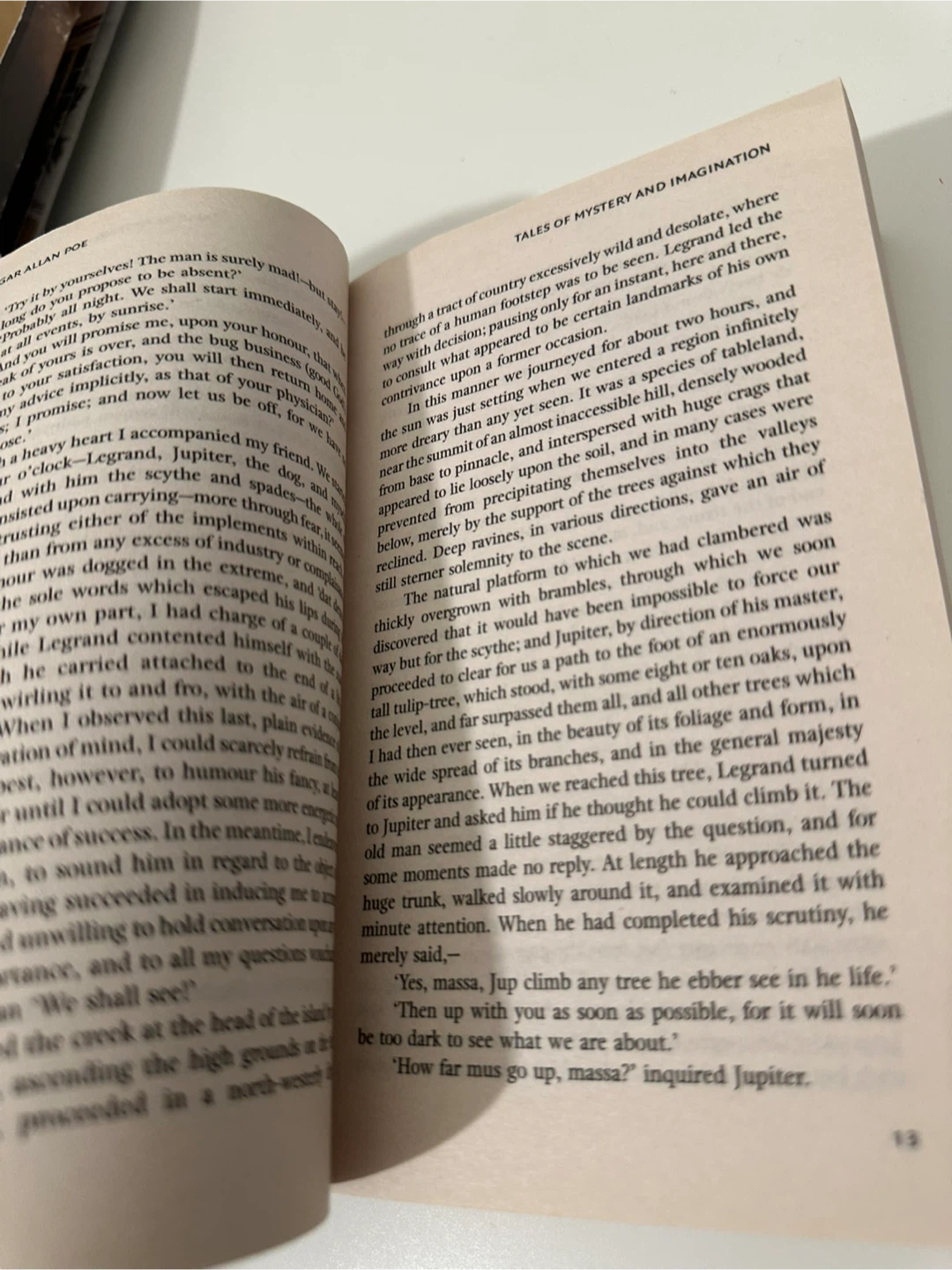 Edgar Allan Poe Tales of Mystery and Imagination - photo 4