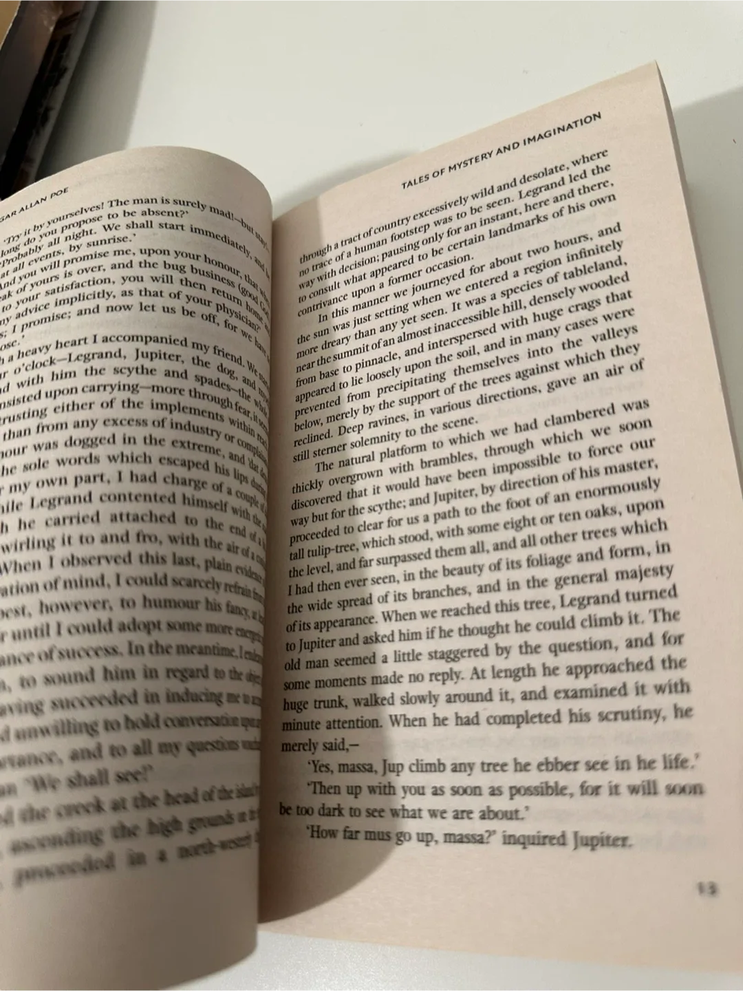 Edgar Allan Poe Tales of Mystery and Imagination image indicator(4)