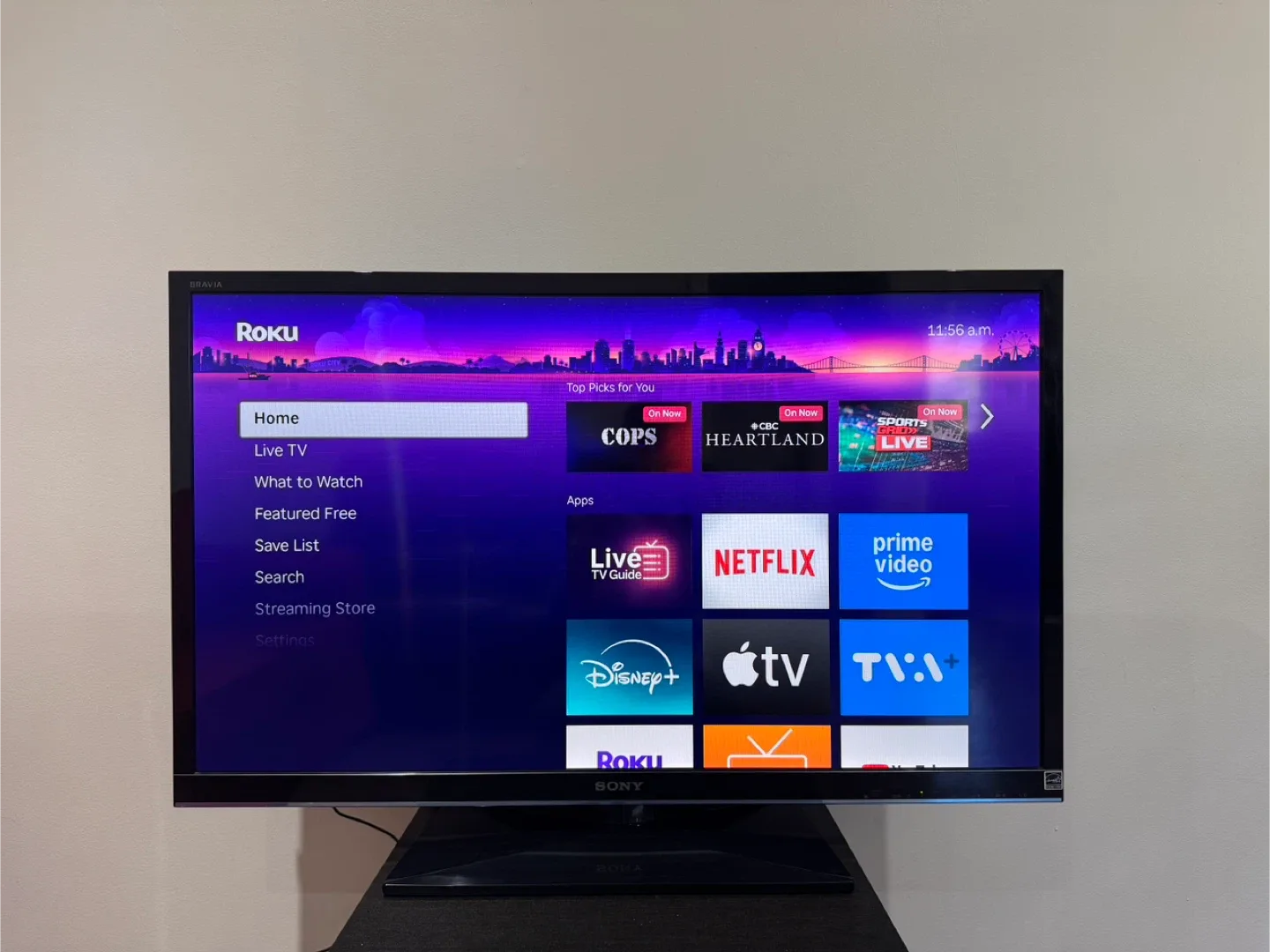 Sony Bravia TV image indicator(2)