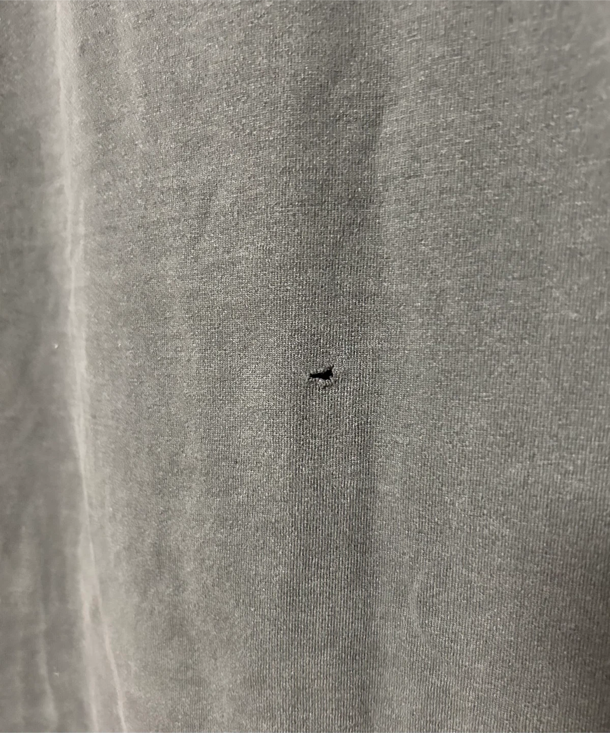 Nirvana Nevermind T-Shirt, Size XL - photo 4