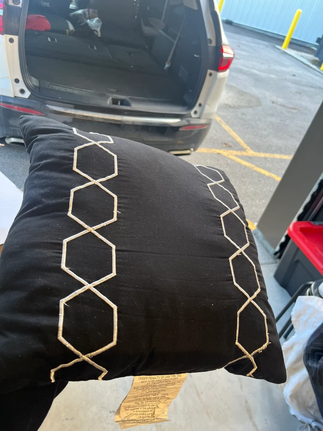 Decorative Throw Pillows image indicator(3)