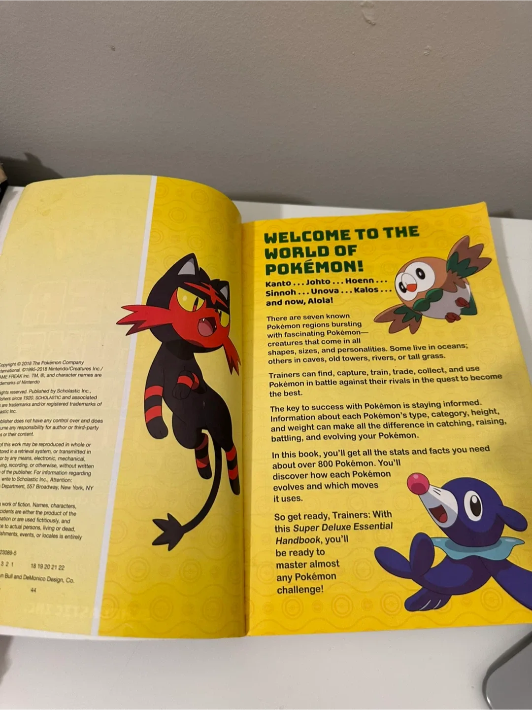 Pokémon Super Deluxe Essential Handbook image indicator(4)