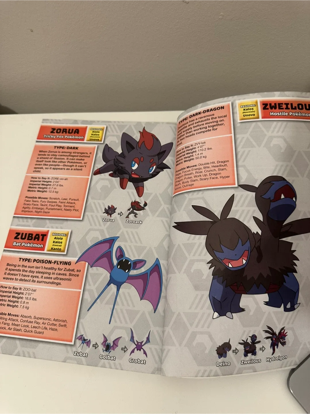 Pokémon Super Deluxe Essential Handbook image indicator(5)