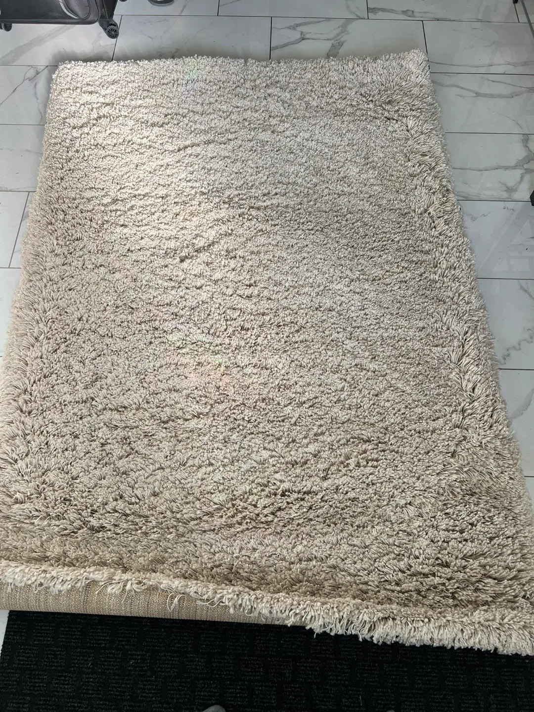 Beige Shag Rug area rug