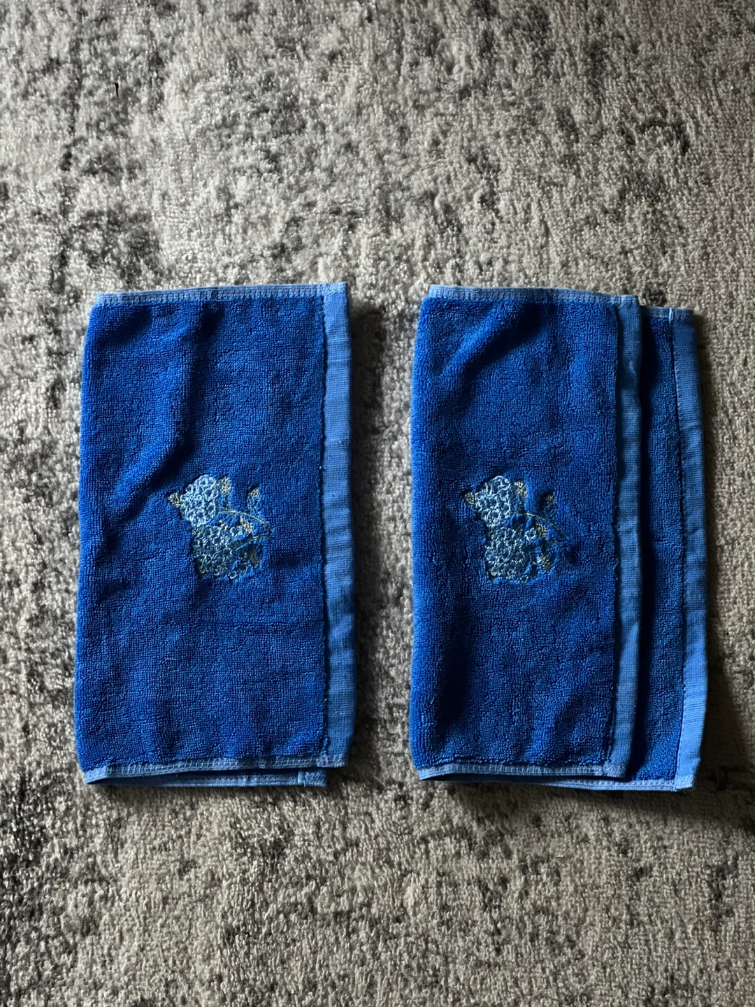 Blue Hand Towels - Set of 2