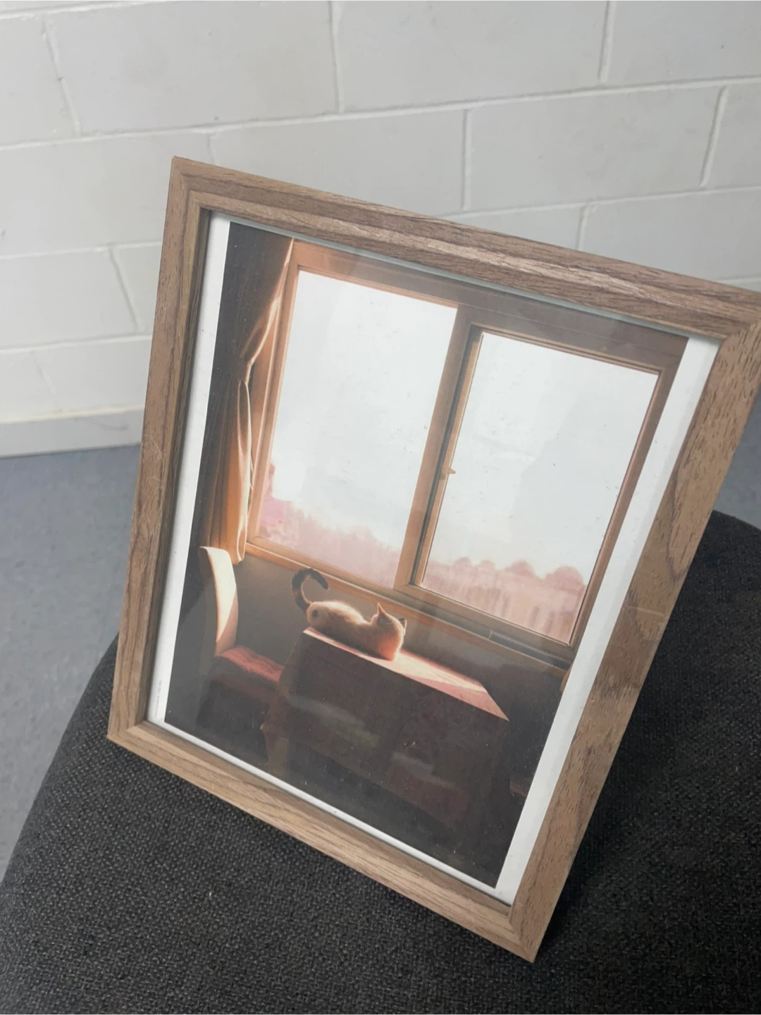 🥕Picture Frame