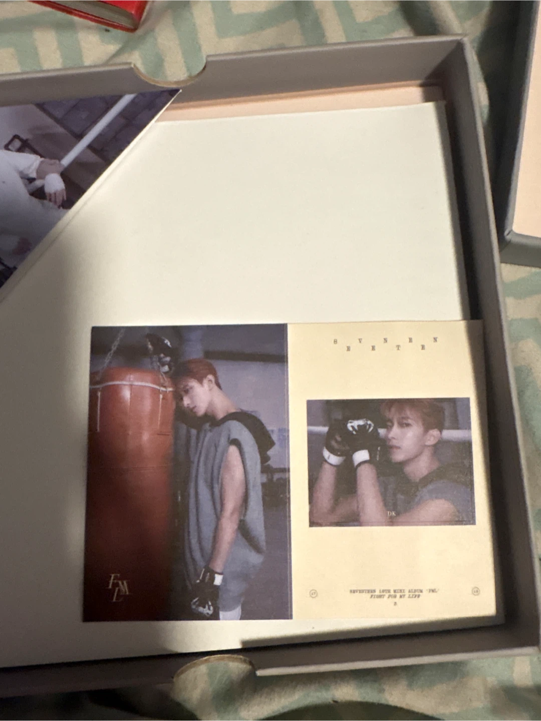 Seventeen 10th Mini Album FML - photo 5