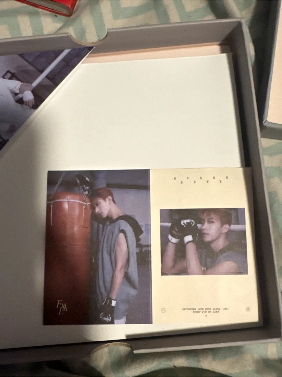 Seventeen 10th Mini Album FML image indicator(5)