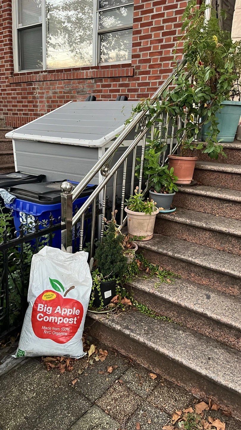 FREE Big Apple Compost Bag