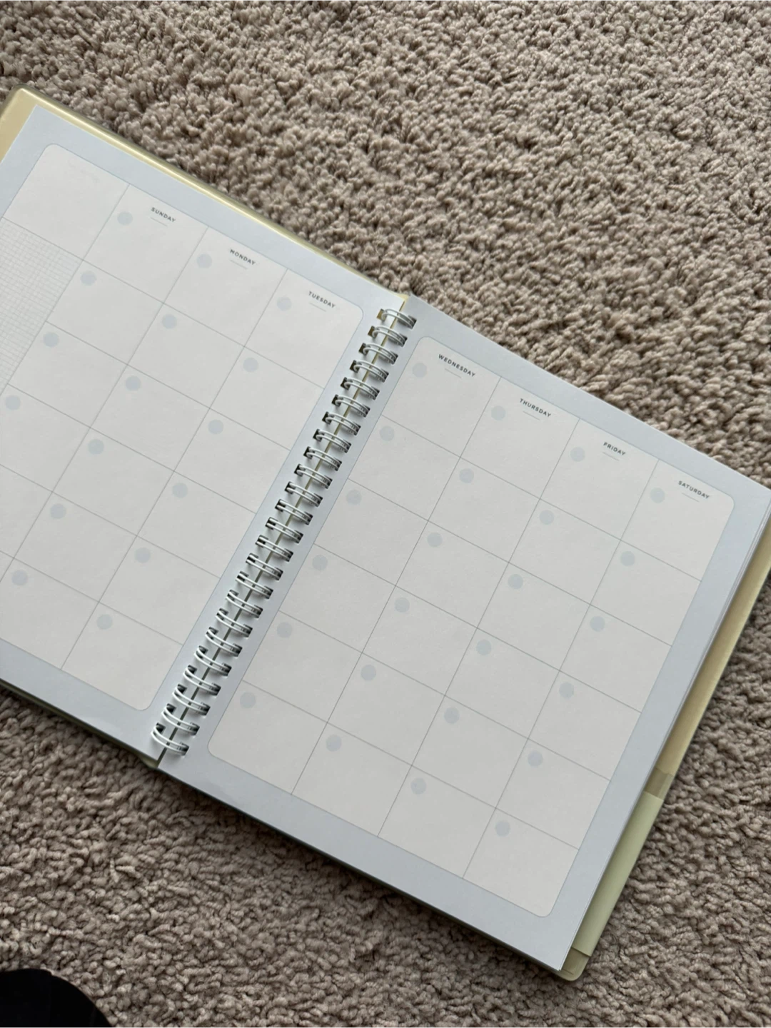 100 Day Goal Planner - Monthly & Daily - photo 3