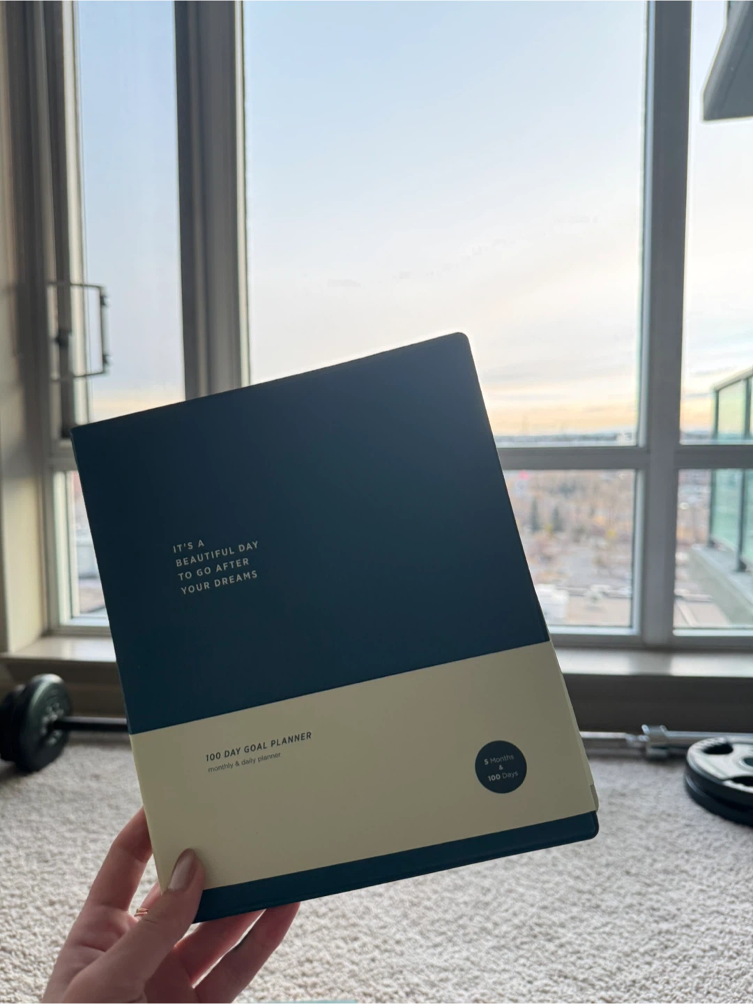 100 Day Goal Planner - Monthly & Daily
