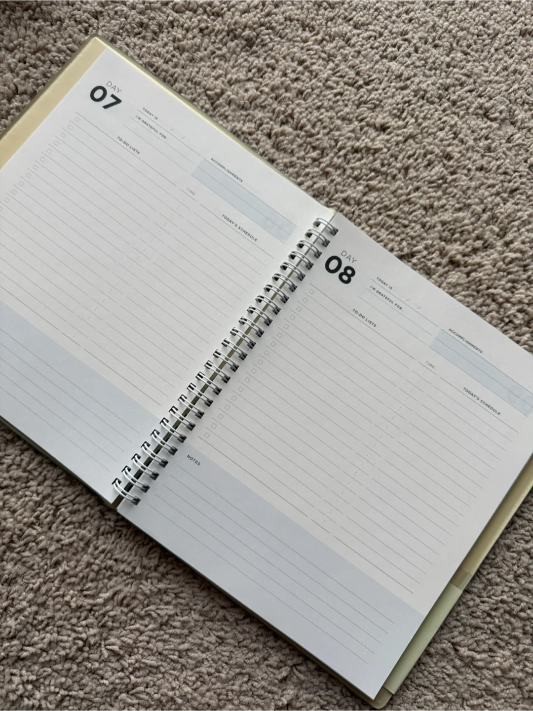 100 Day Goal Planner - Monthly & Daily - photo 4
