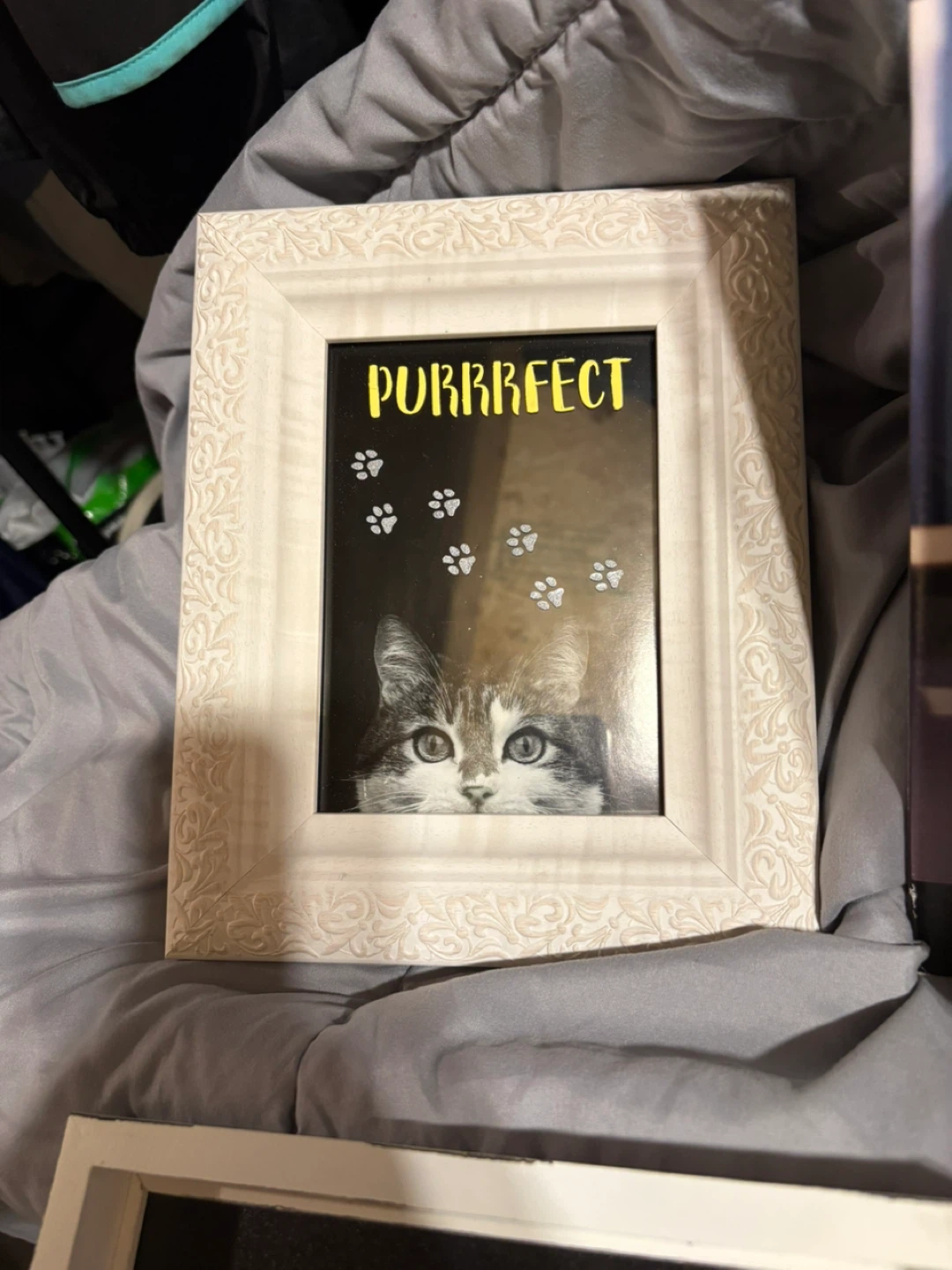 New Purrfect Cat Picture Frame