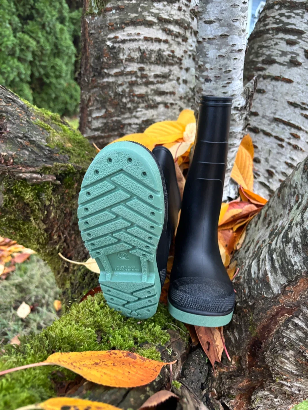 Boy’s George Black & Sage Green Gum Boots - 👦 ⛈️ Size 2 image indicator(6)