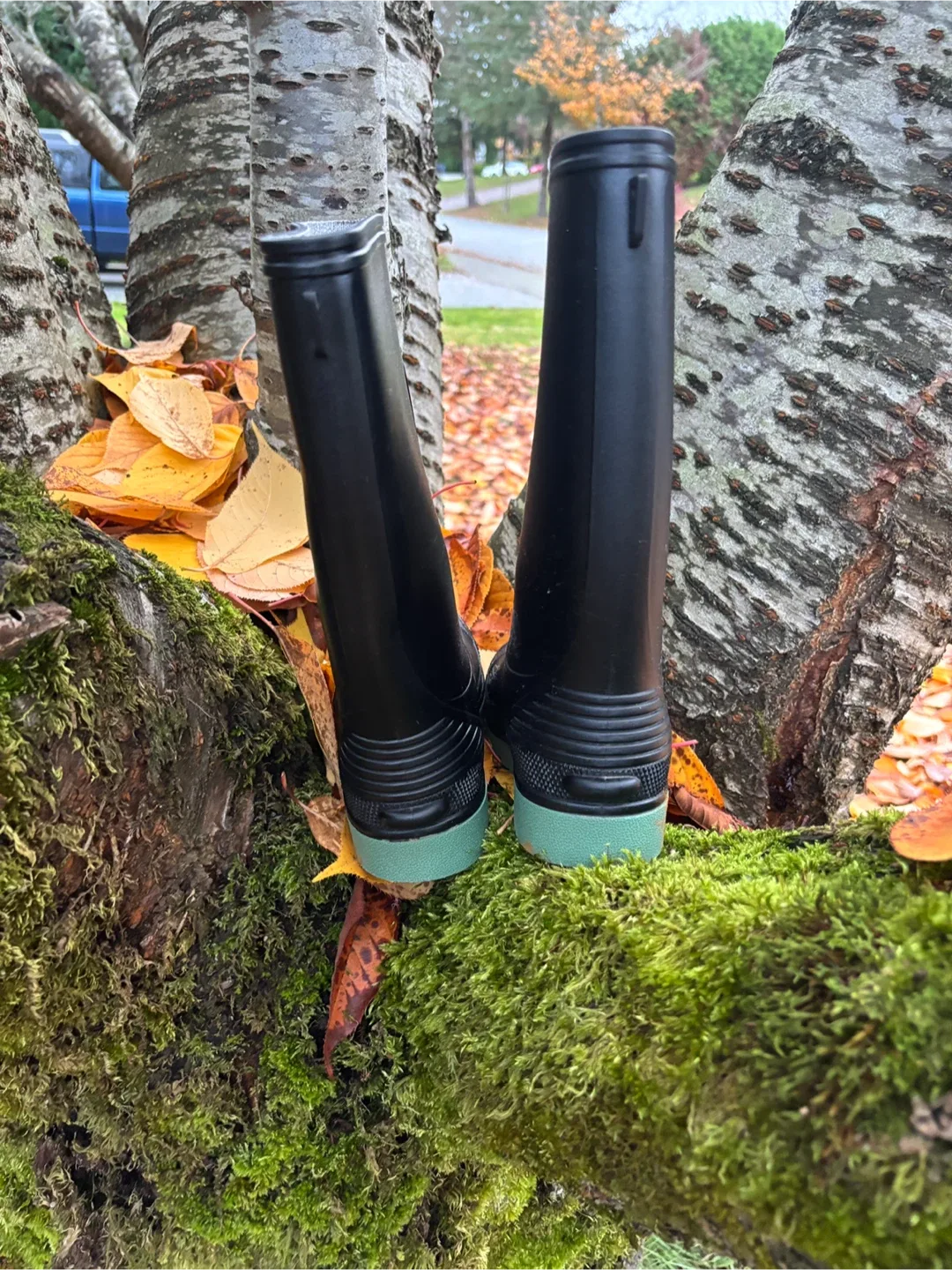 Boy’s George Black & Sage Green Gum Boots - 👦 ⛈️ Size 2 image indicator(4)