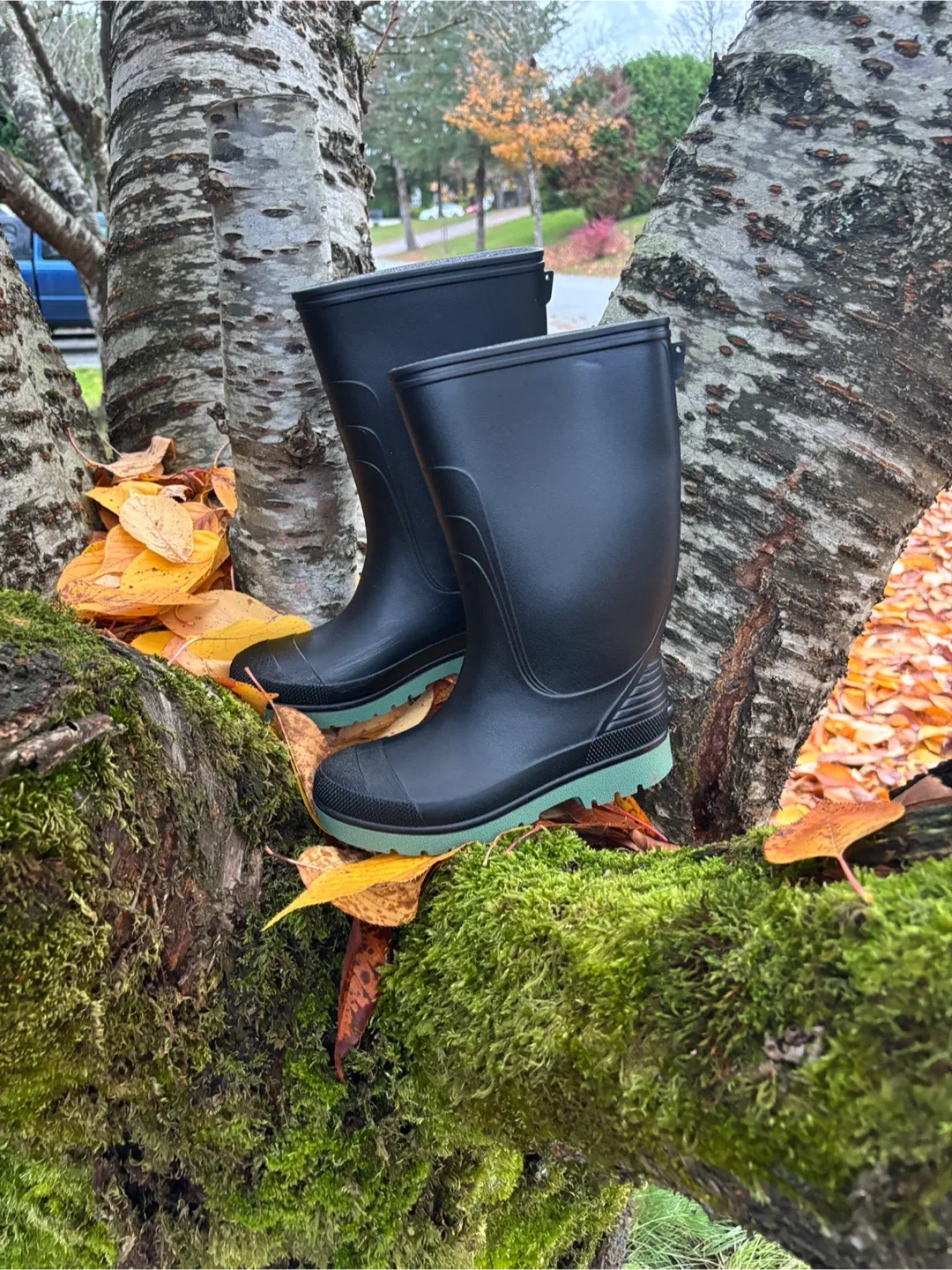 Boy’s George Black & Sage Green Gum Boots - 👦 ⛈️ Size 2 image indicator(2)