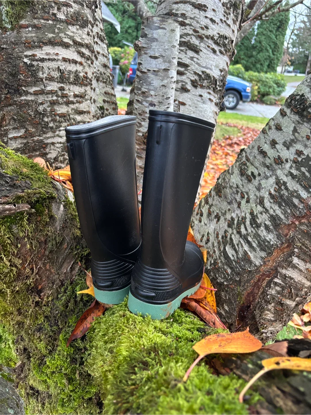 Boy’s George Black & Sage Green Gum Boots - 👦 ⛈️ Size 2 image indicator(3)