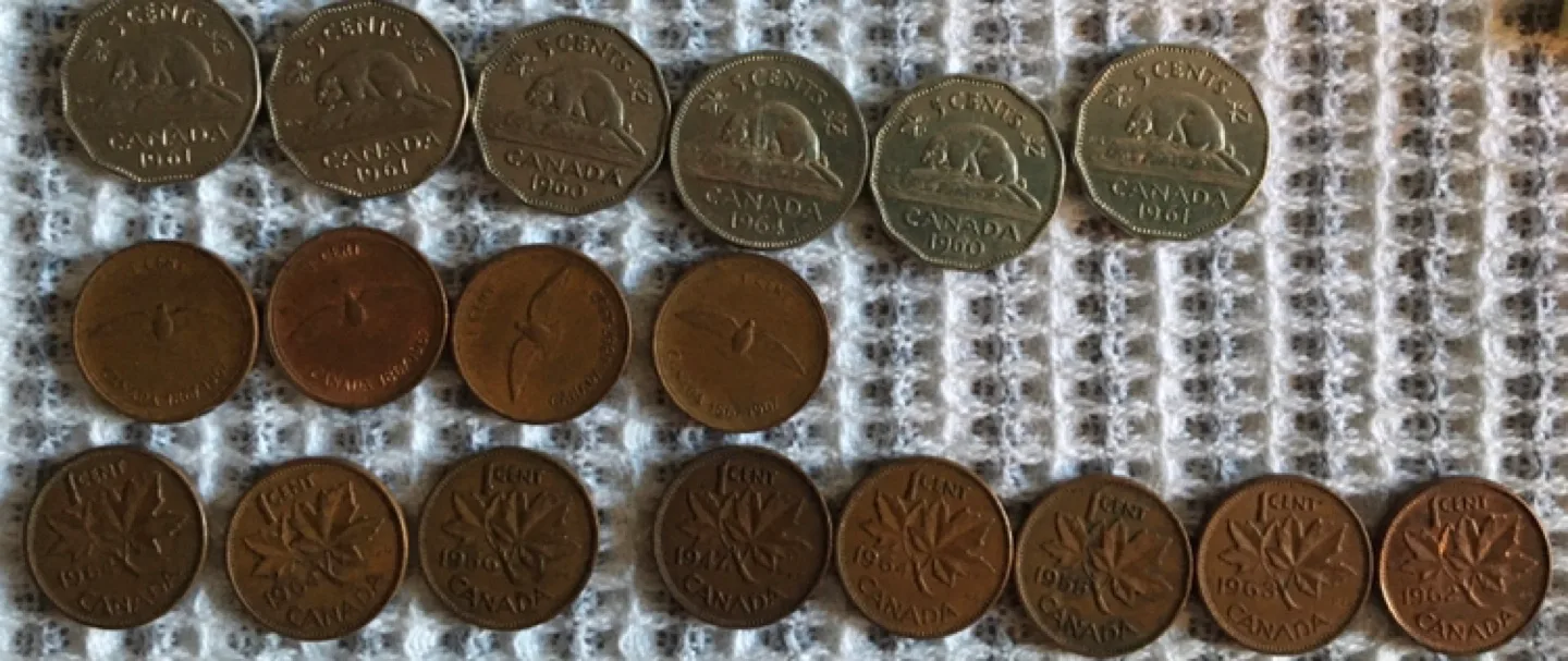 Canadian and American Numismatic Coin Collection image indicator(4)