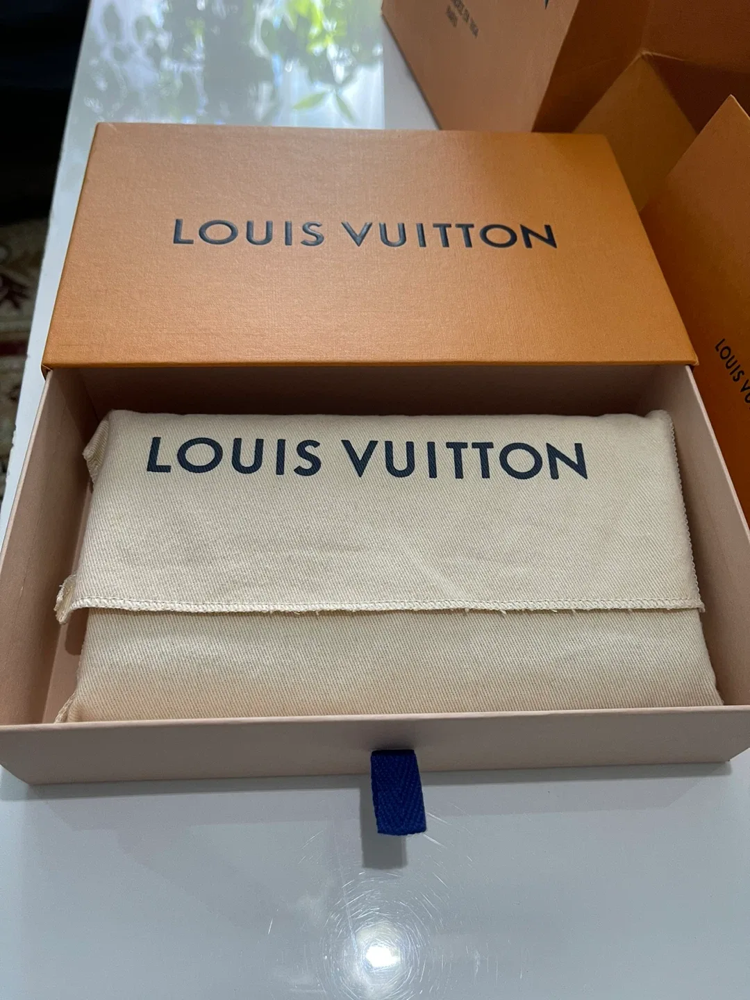 Louis Vuitton Epi Leather Twist Wallet ( Brand New) image indicator(2)
