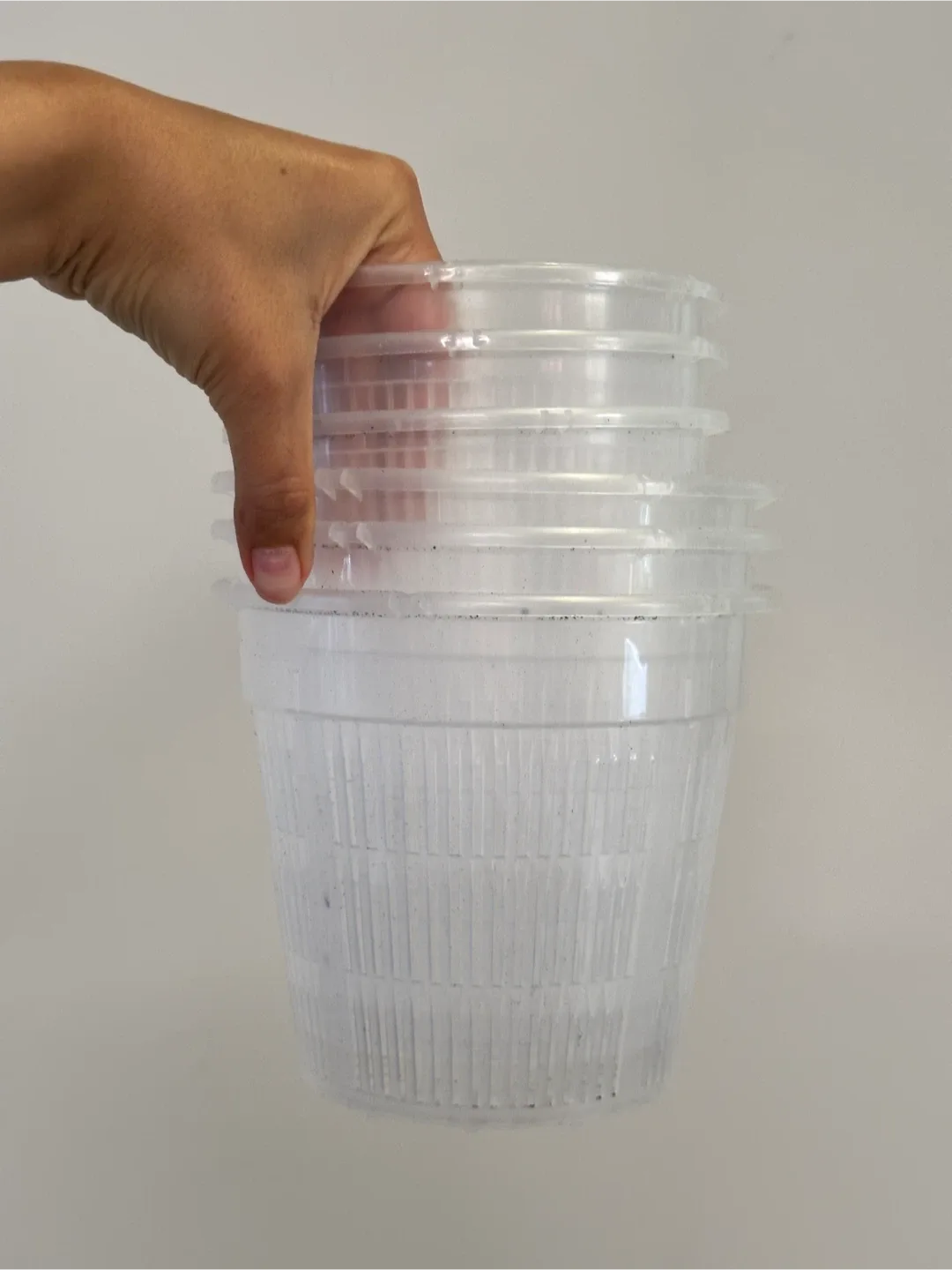 🆕 Clear Perforated Planters x6 thumbnail