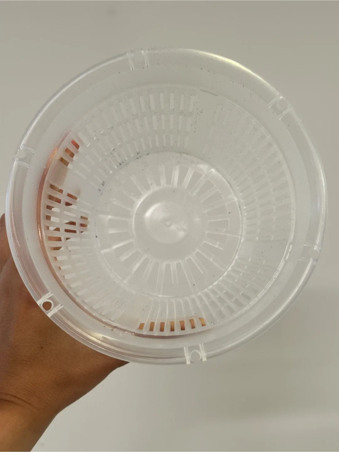 🆕 Clear Perforated Planters x6 image indicator(3)