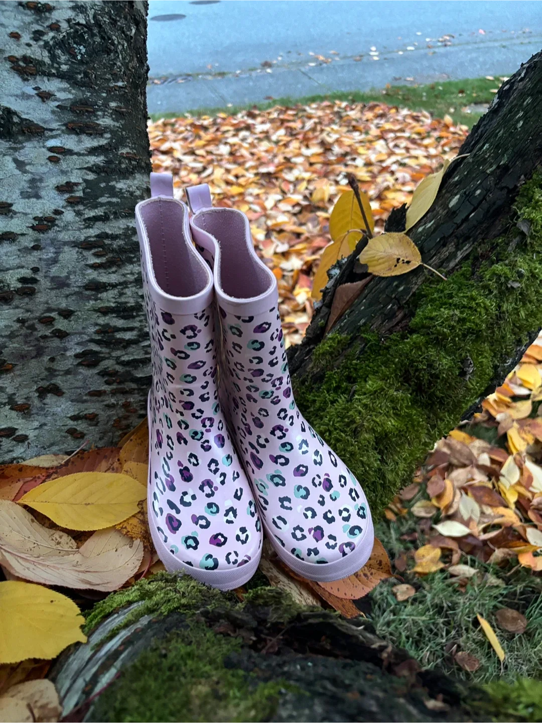 Girls’ Pink & Leopard Print Gum Boots 💕 Size 3 image indicator(6)