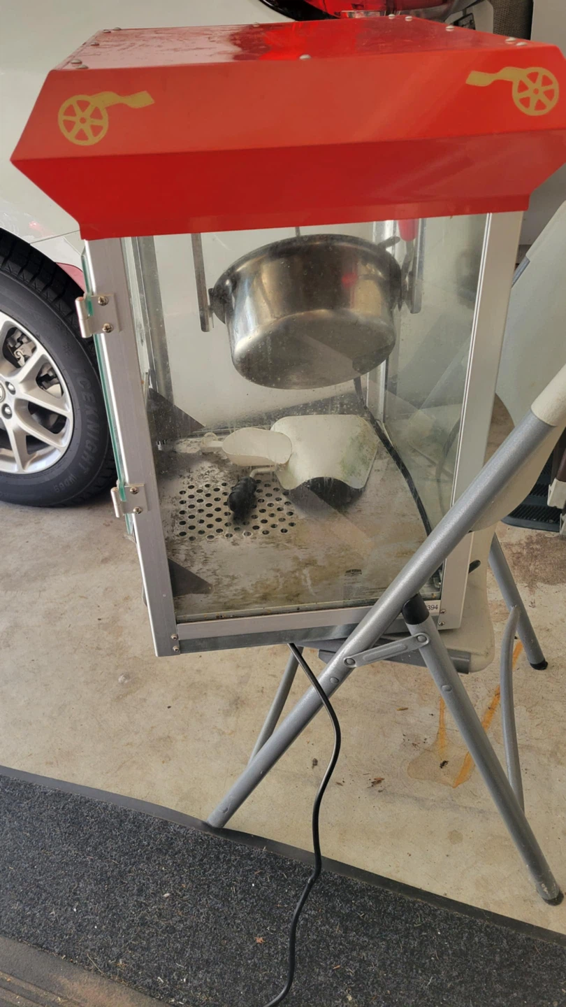 Great Northern Roosevelt Popcorn Machine - photo 3