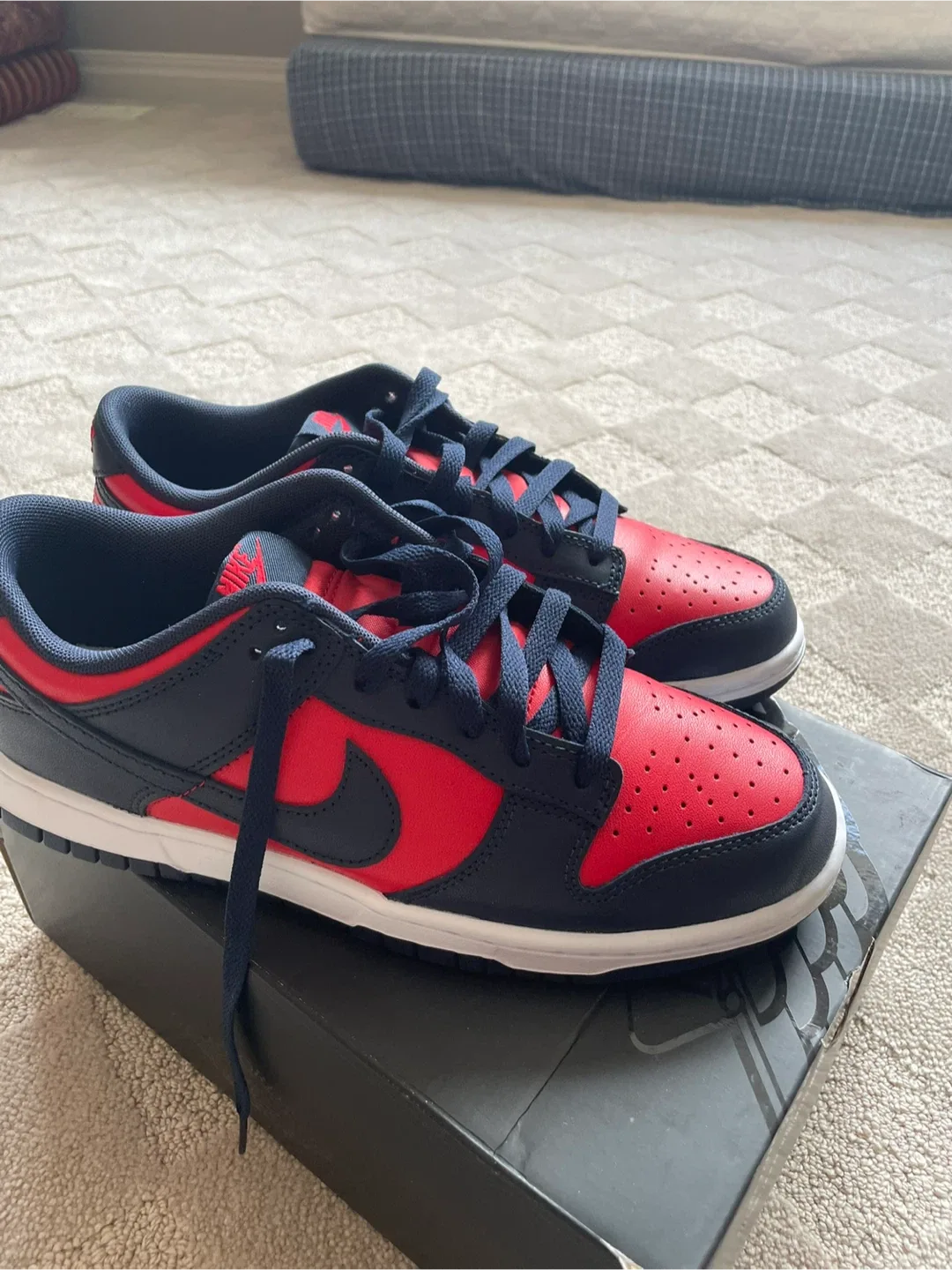 Mens 8.5 Nike Dunk Low Retro image indicator(3)