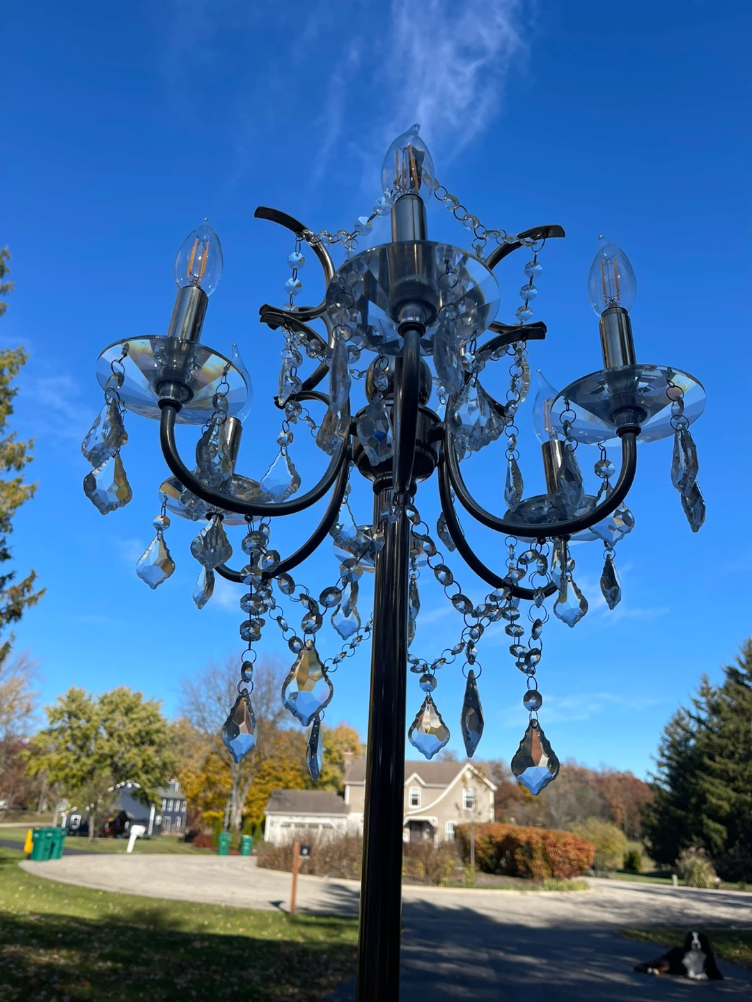 Chandelier Floor Lamp Set - photo 3