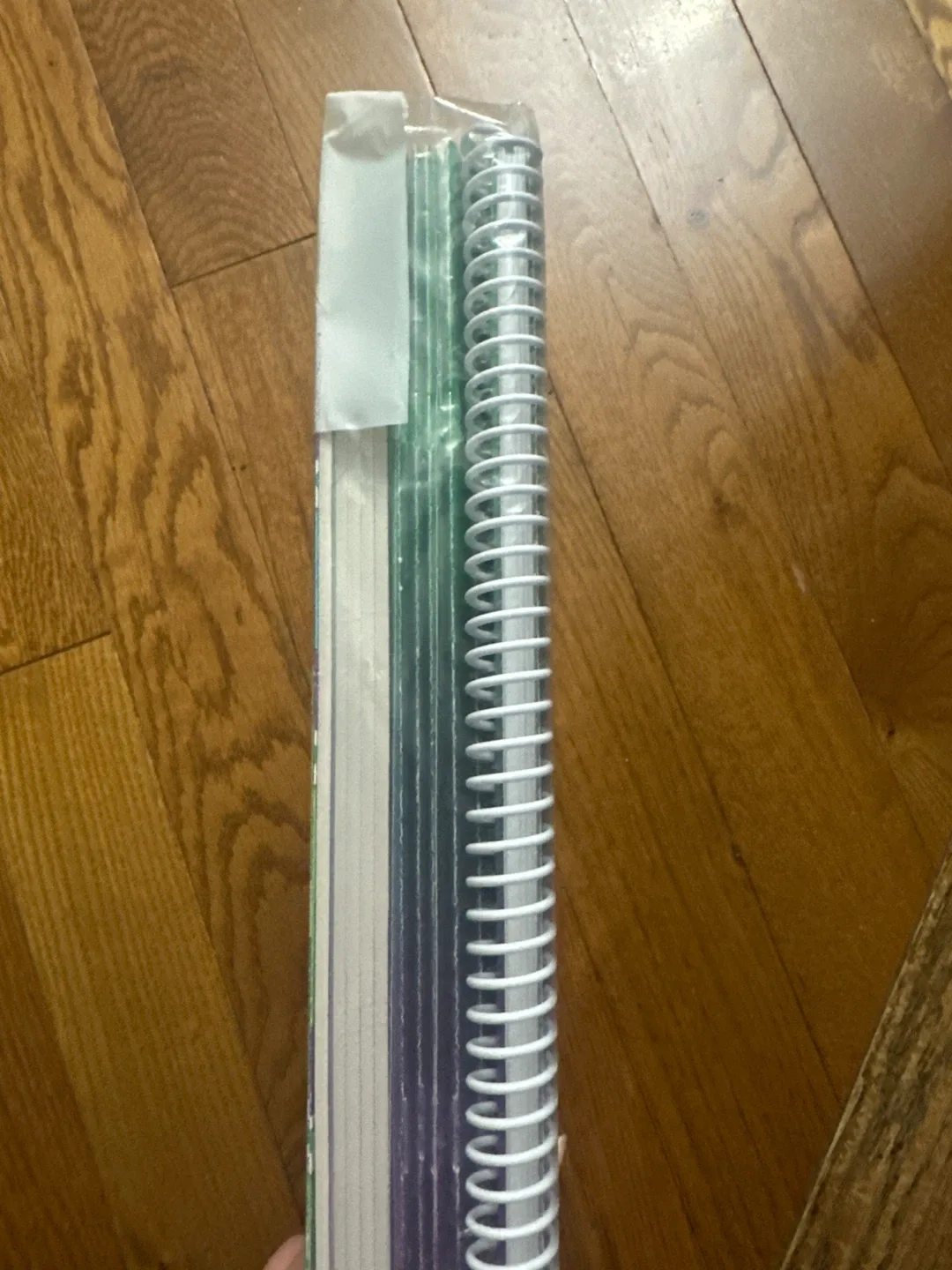 Sort Out Your Syllables Teacher's Resource Book - New image indicator(2)