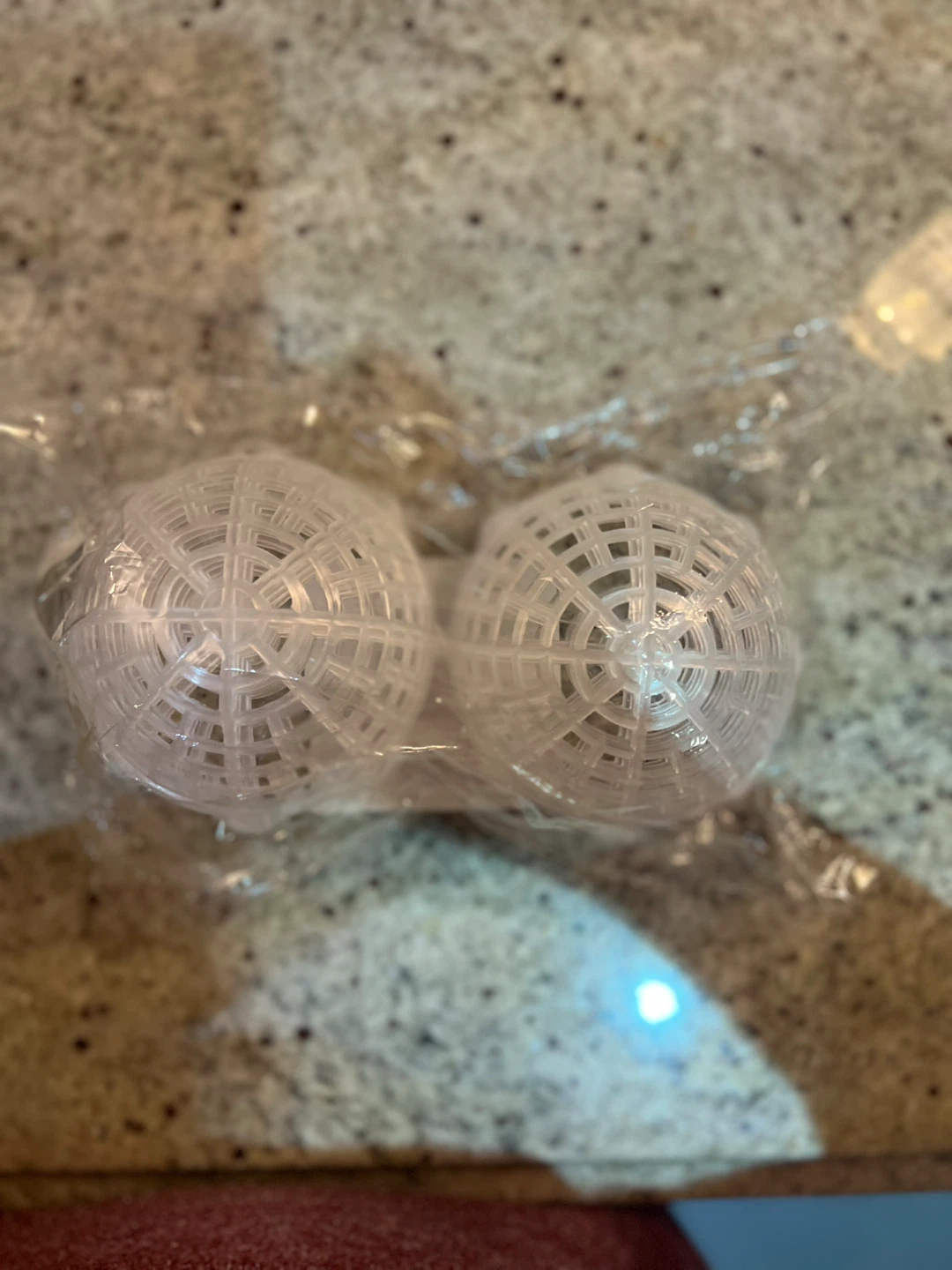 🥕 Orchid Plant holders - New