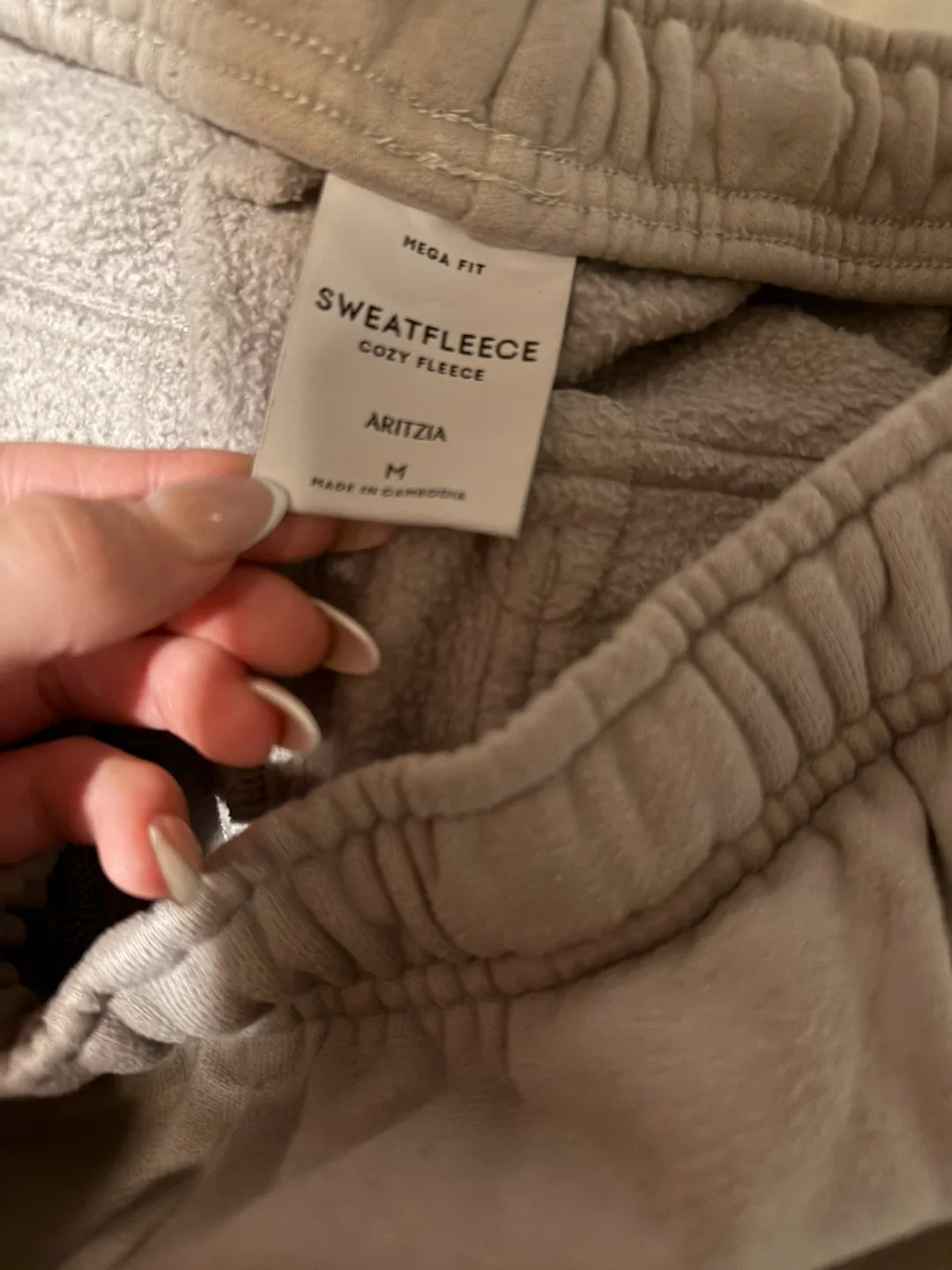 Aritzia Sweatfleece Cargo Pants - Size M image indicator(4)