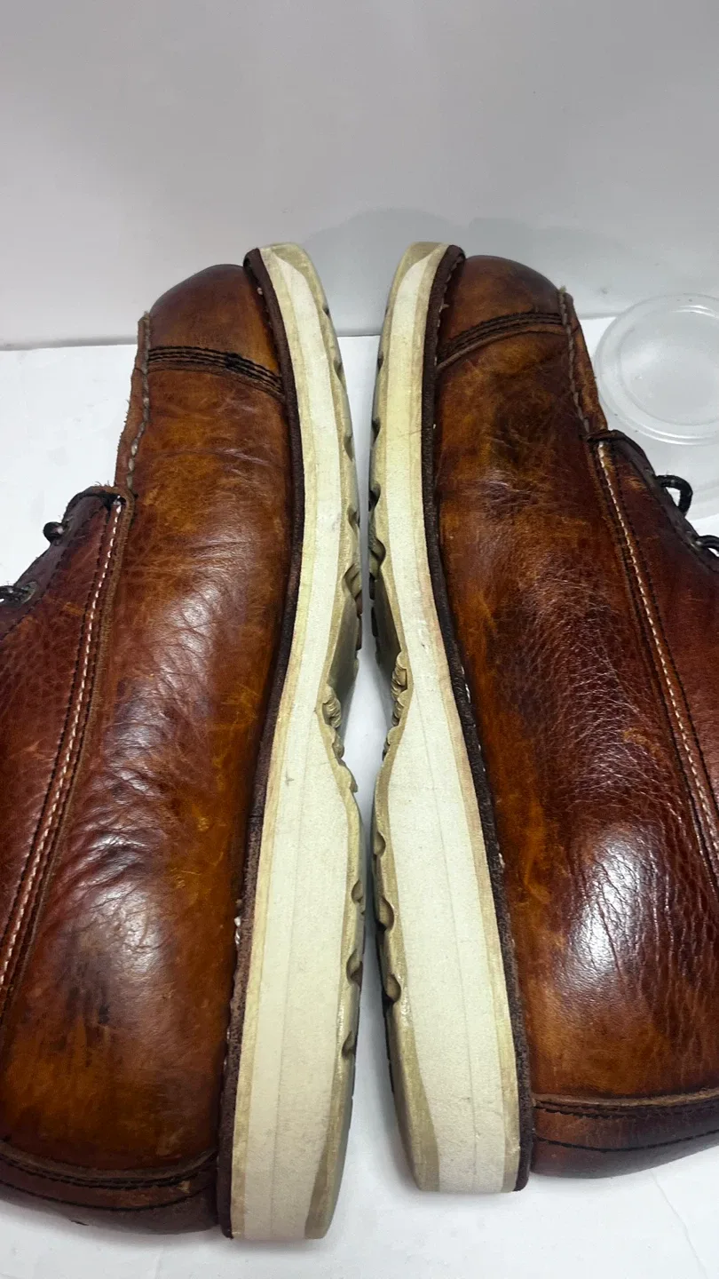 red wing Irishsetter image indicator(5)