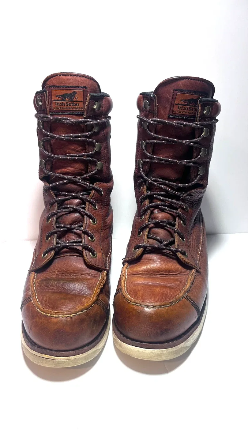 red wing Irishsetter image indicator(2)