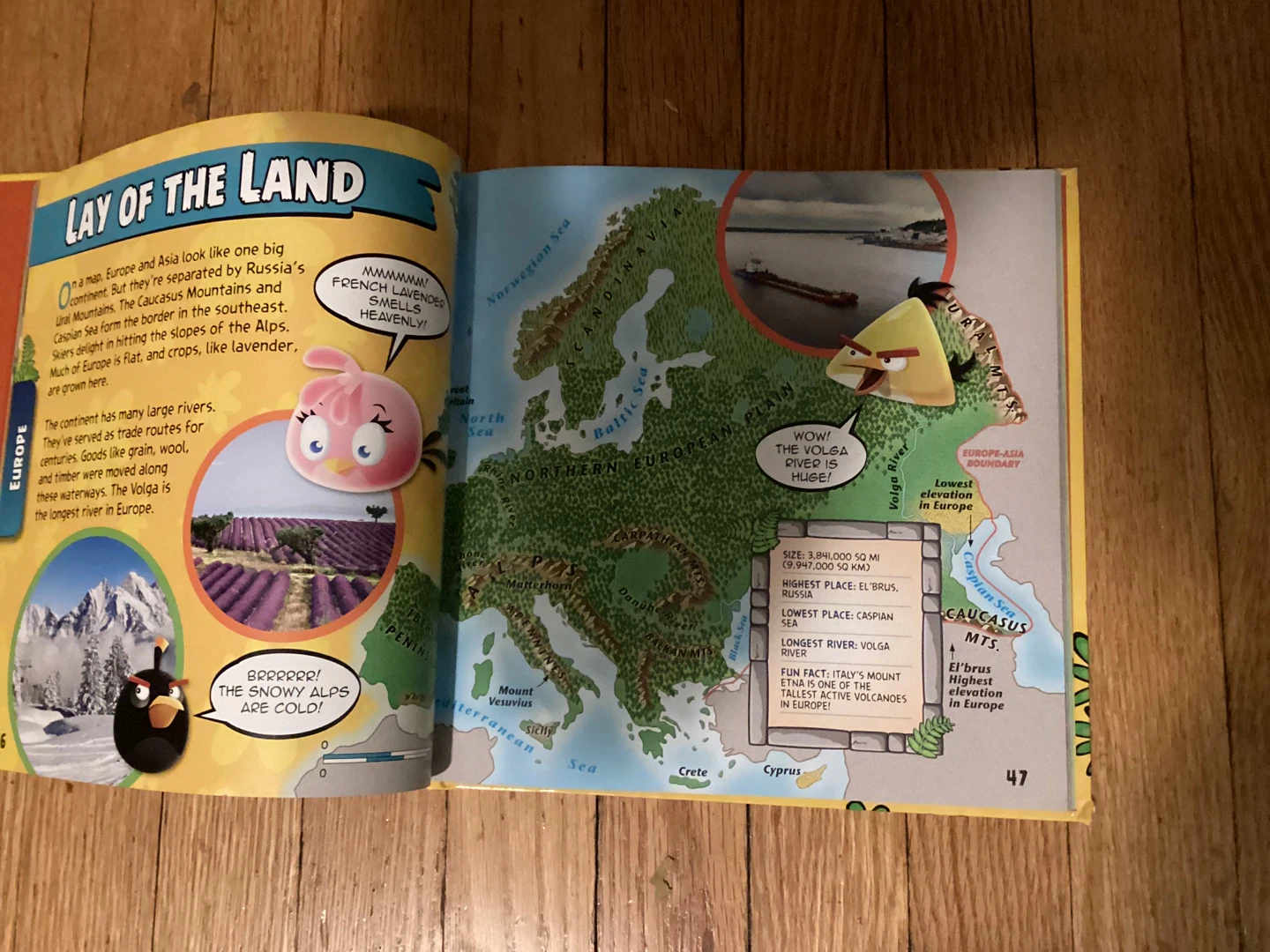 Angry Birds Playground Atlas - National Geographic Kids - photo 2