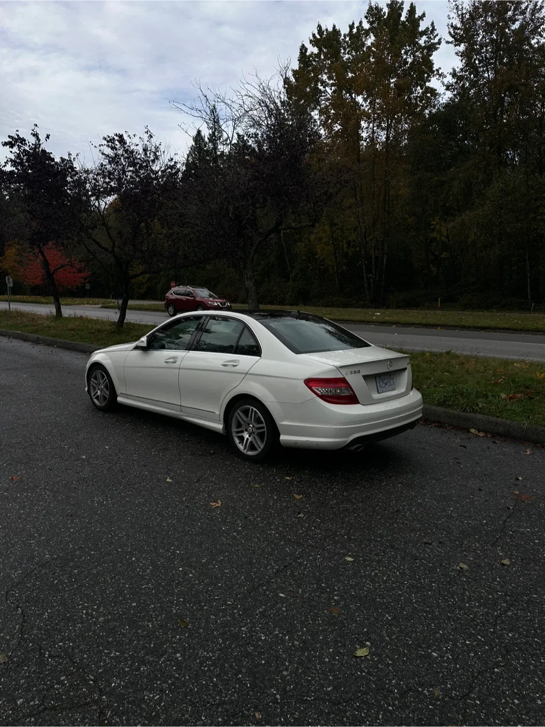 Mercedes c350 image indicator(3)