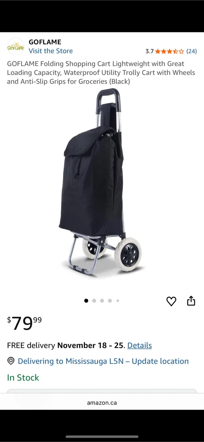 Shopping/Grocery Bag on Wheels image indicator(5)