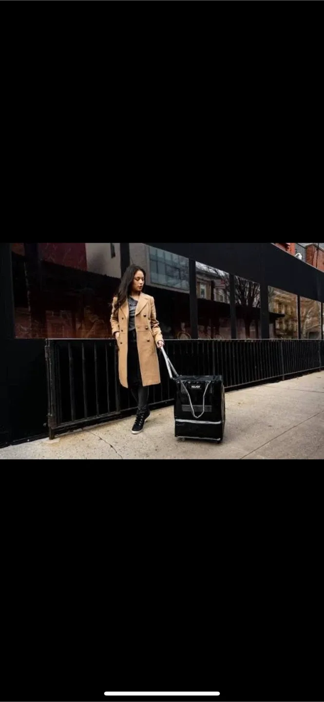 Shopping/Grocery Bag on Wheels image indicator(10)