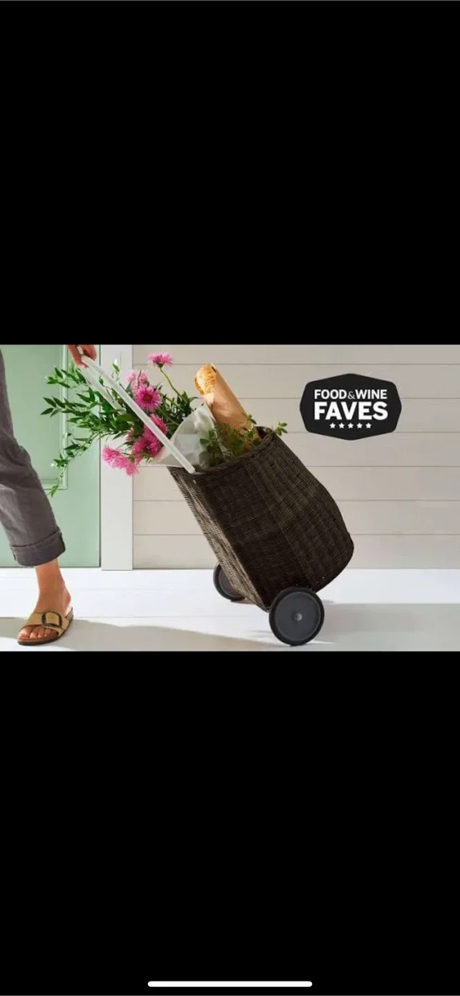 Shopping/Grocery Bag on Wheels image indicator(6)