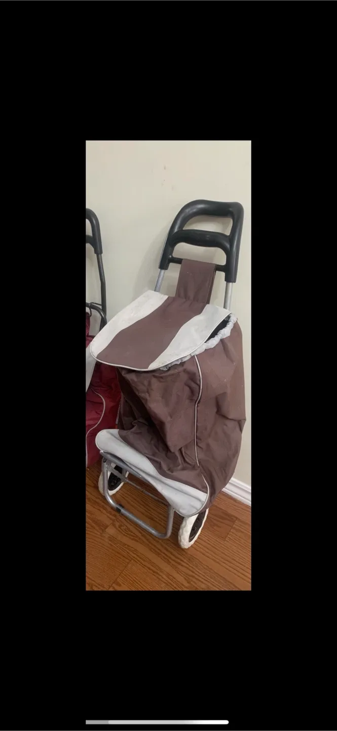 Grocery/Shopping Bag with Wheels image indicator(2)