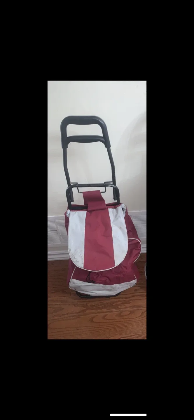Shopping/Grocery Bag on Wheels image indicator(3)