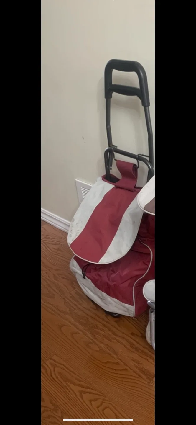 Shopping/Grocery Bag on Wheels image indicator(2)