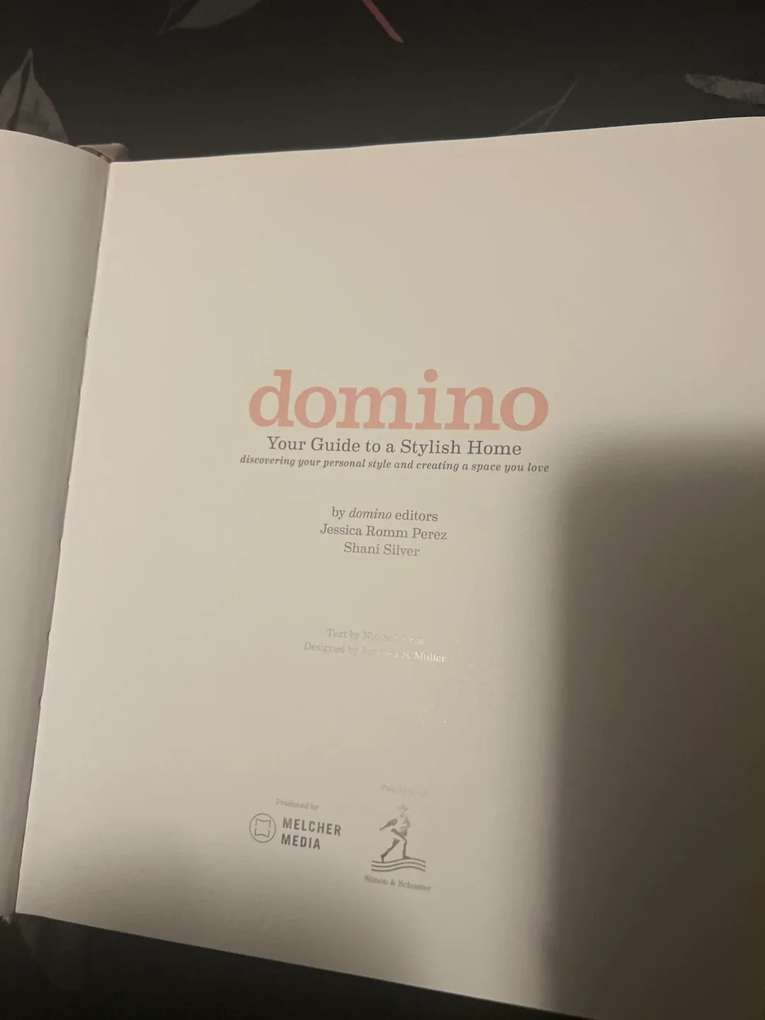 Domino: Your Guide to a Stylish Home Book image indicator(3)