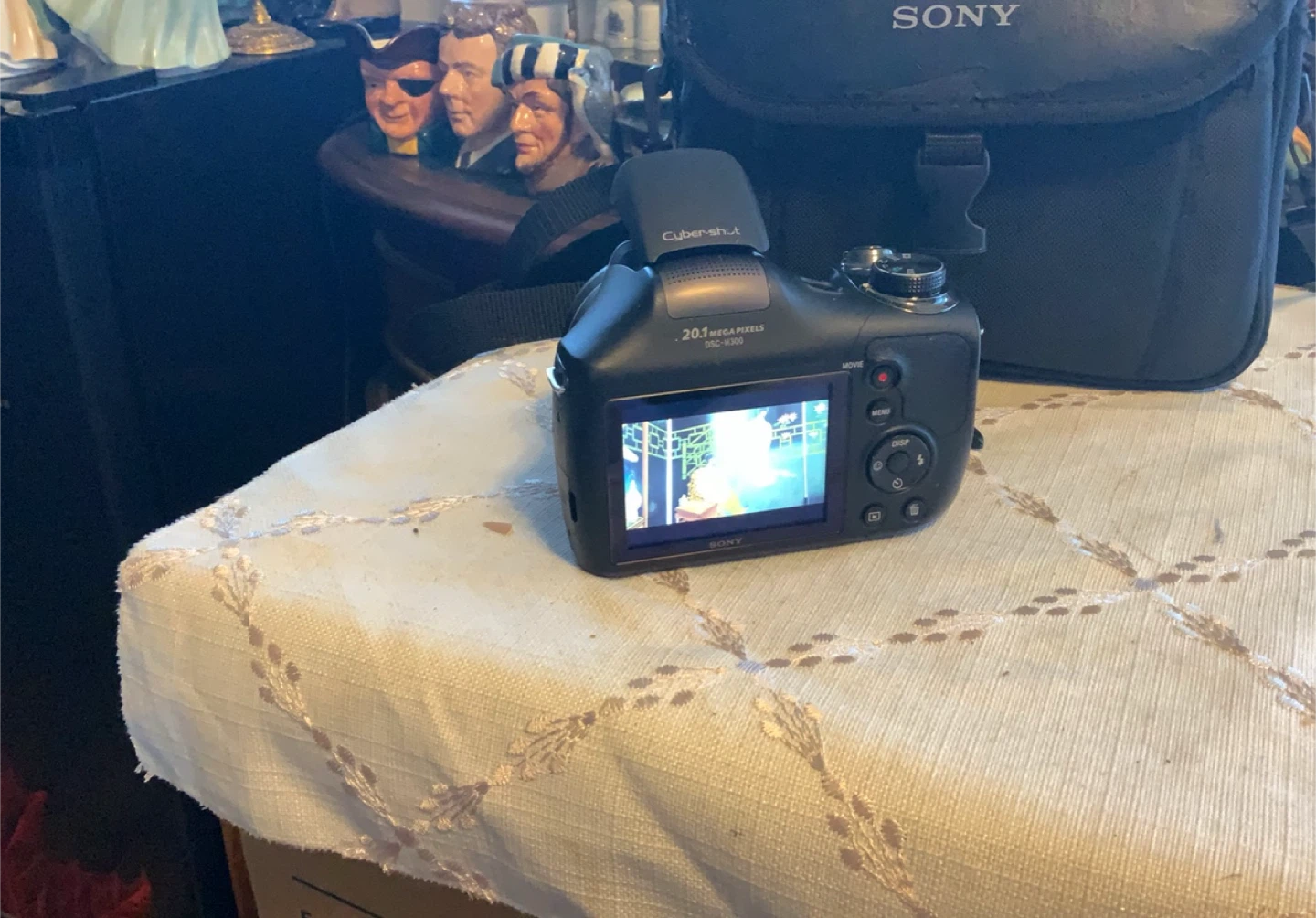 Sony Cyber-shot DSC-H300 Digital Camera w/ Case