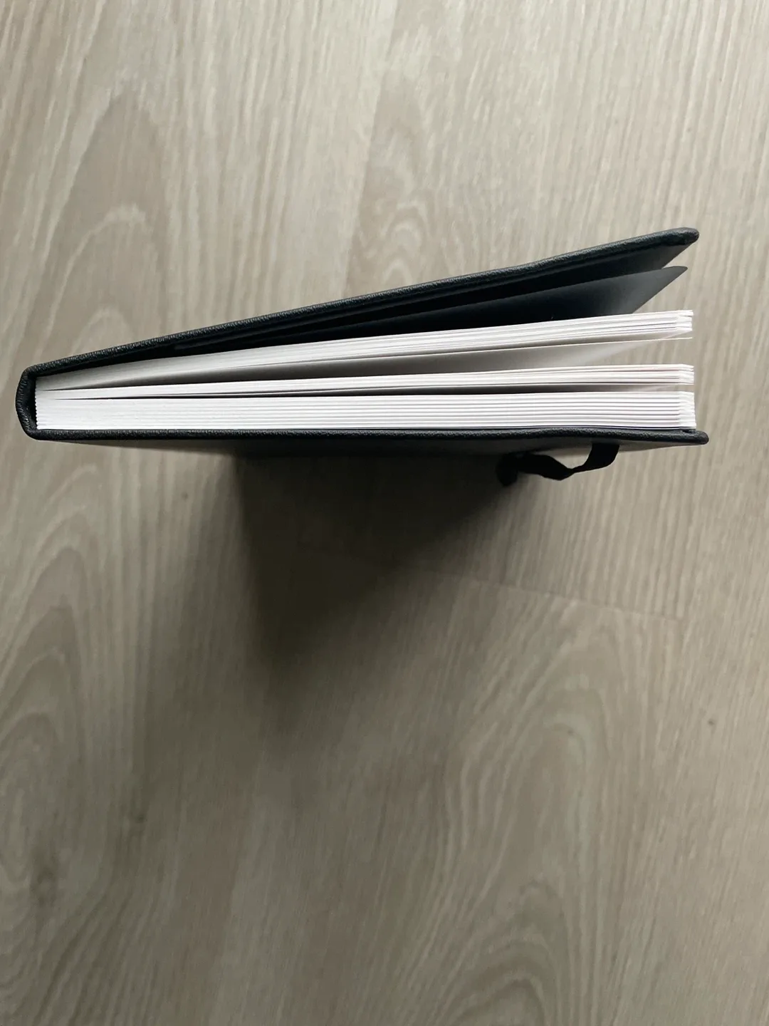 Memory Path Legacy Planner🥕 image indicator(4)