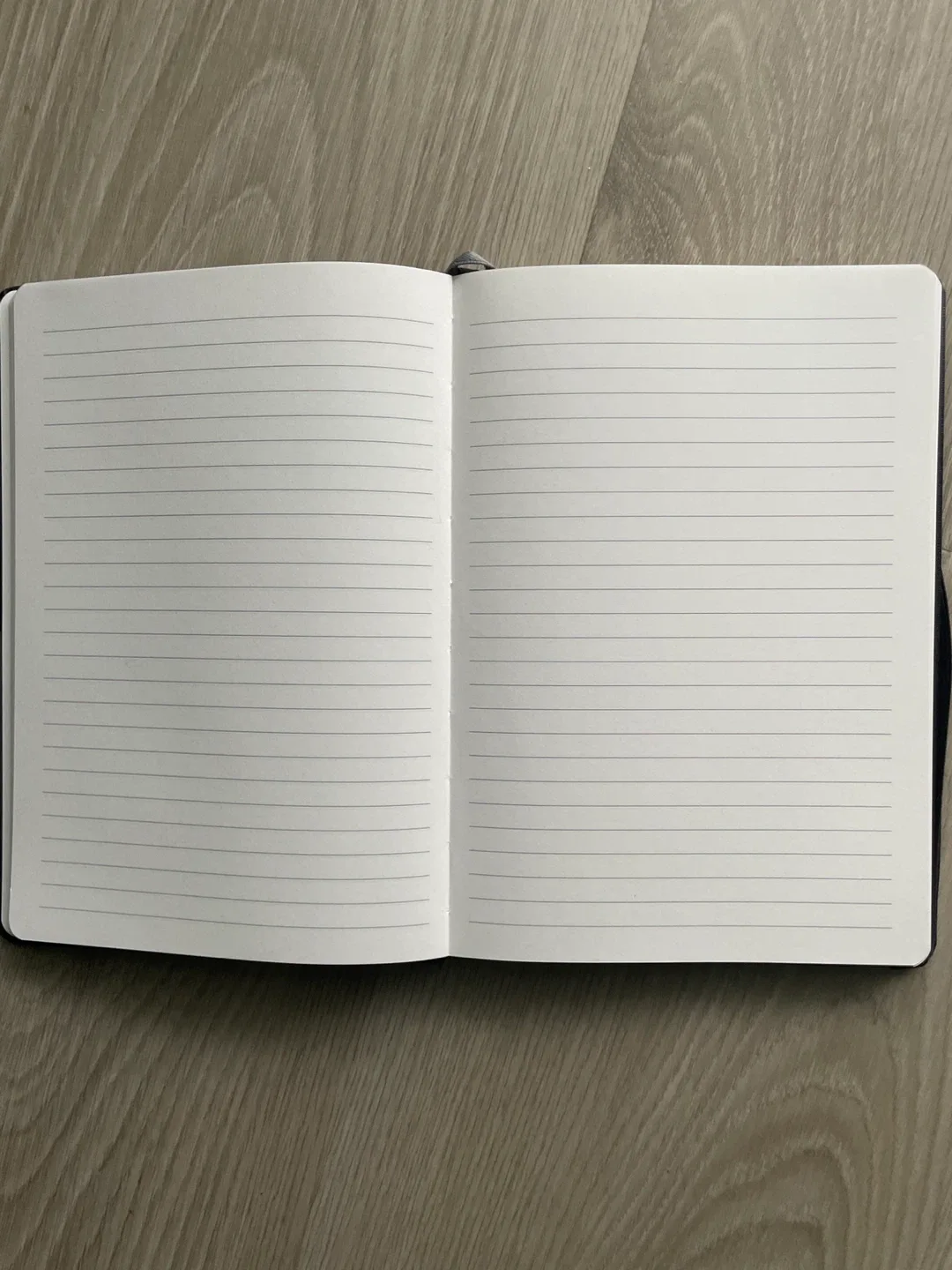 Memory Path Legacy Planner🥕 image indicator(3)