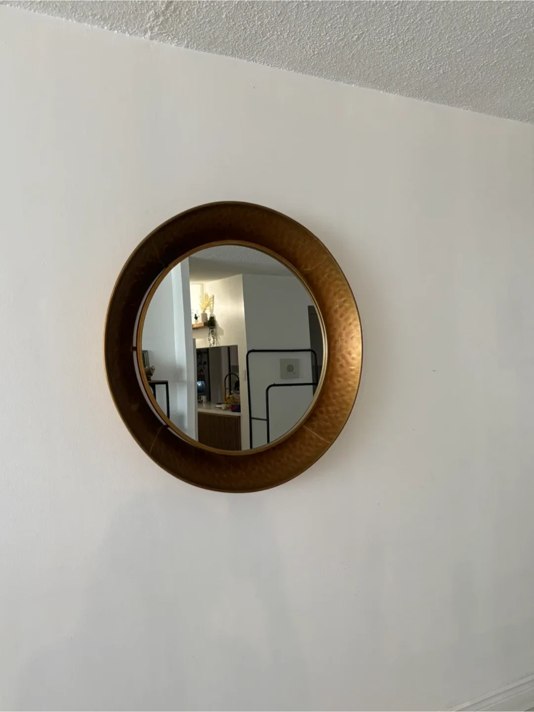 Round Gold Mirror image indicator(2)