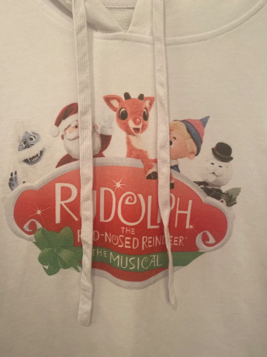 Woman’s hoodie image indicator(2)